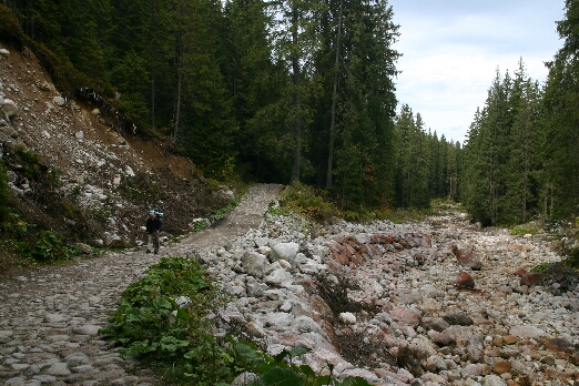 IMG_6959.jpg (194389 bytes)