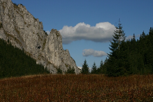 IMG_7183.jpg (166605 bytes)