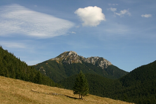 IMG_7266.jpg (146319 bytes)