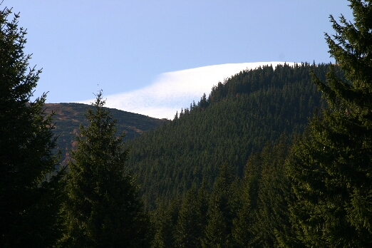 IMG_7269.jpg (157349 bytes)