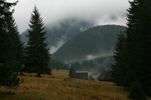 IMG_7274.jpg (153230 bytes)